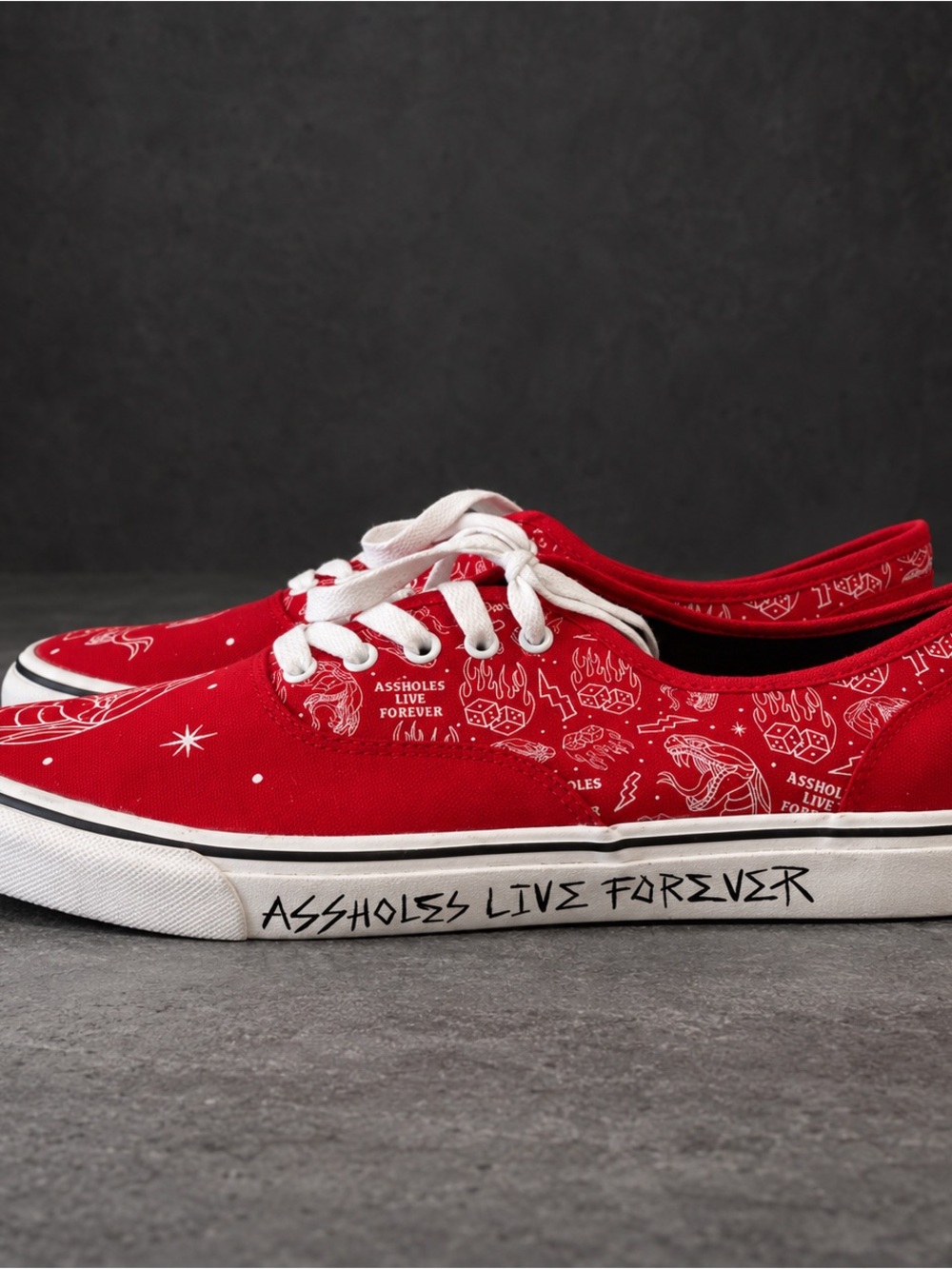 Red Canvas Lace-Up Sneakers - Bold Graphic Design